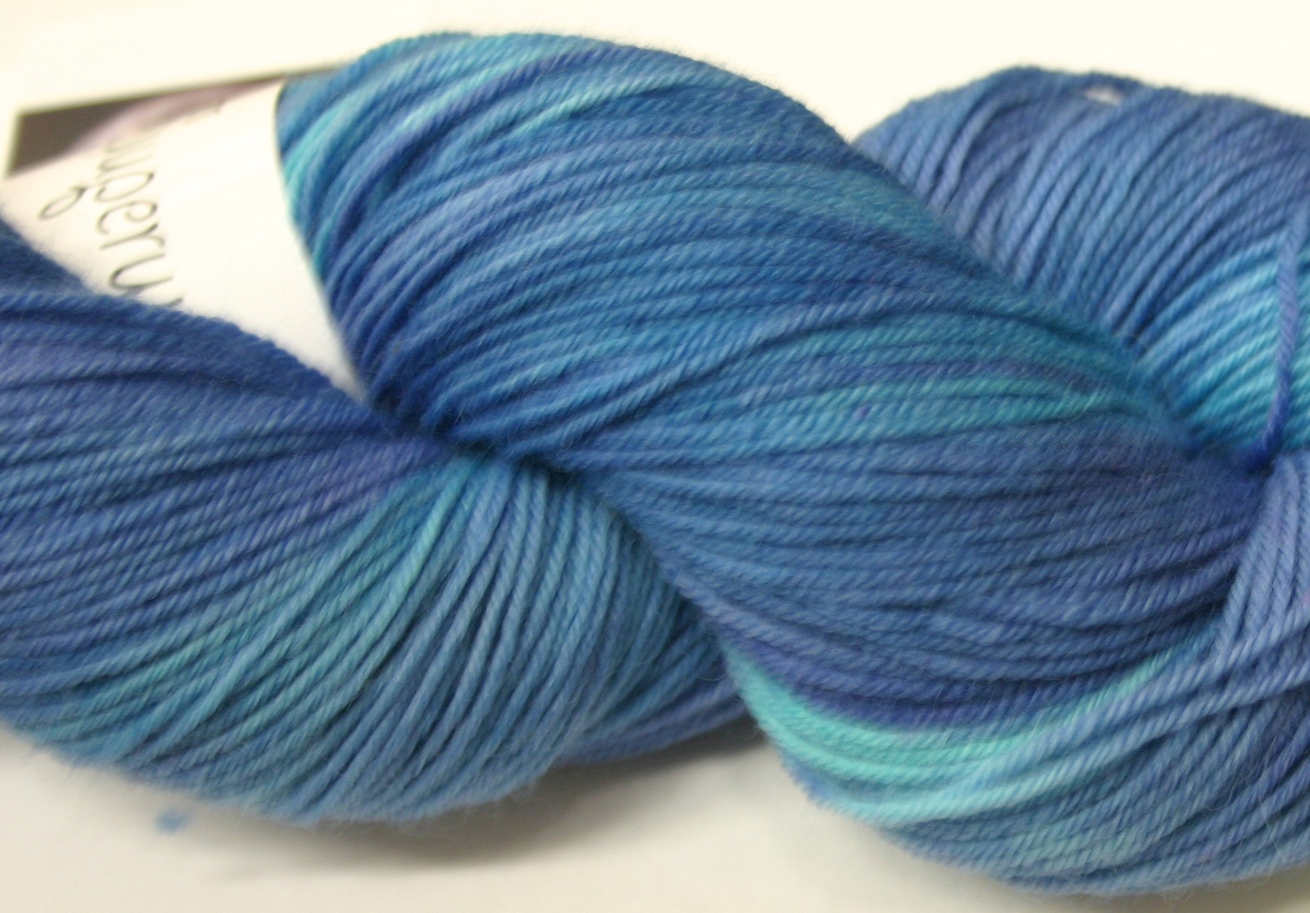 Bewitching Fibers Superwash Merino Fingering - Lakeside