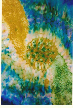 Emily Morgan Handpainted Silks - Greeting Card ...