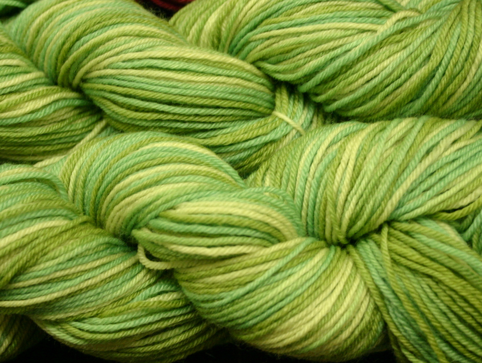 Ivy Brambles Enrapture Light Yarn - 205 Ivy