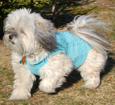 Ivy Brambles Happy Puppy Sweater Pattern