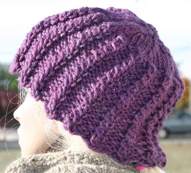 Twisted Rib Hat Kit in Ivy Brambles Superwash Chunky