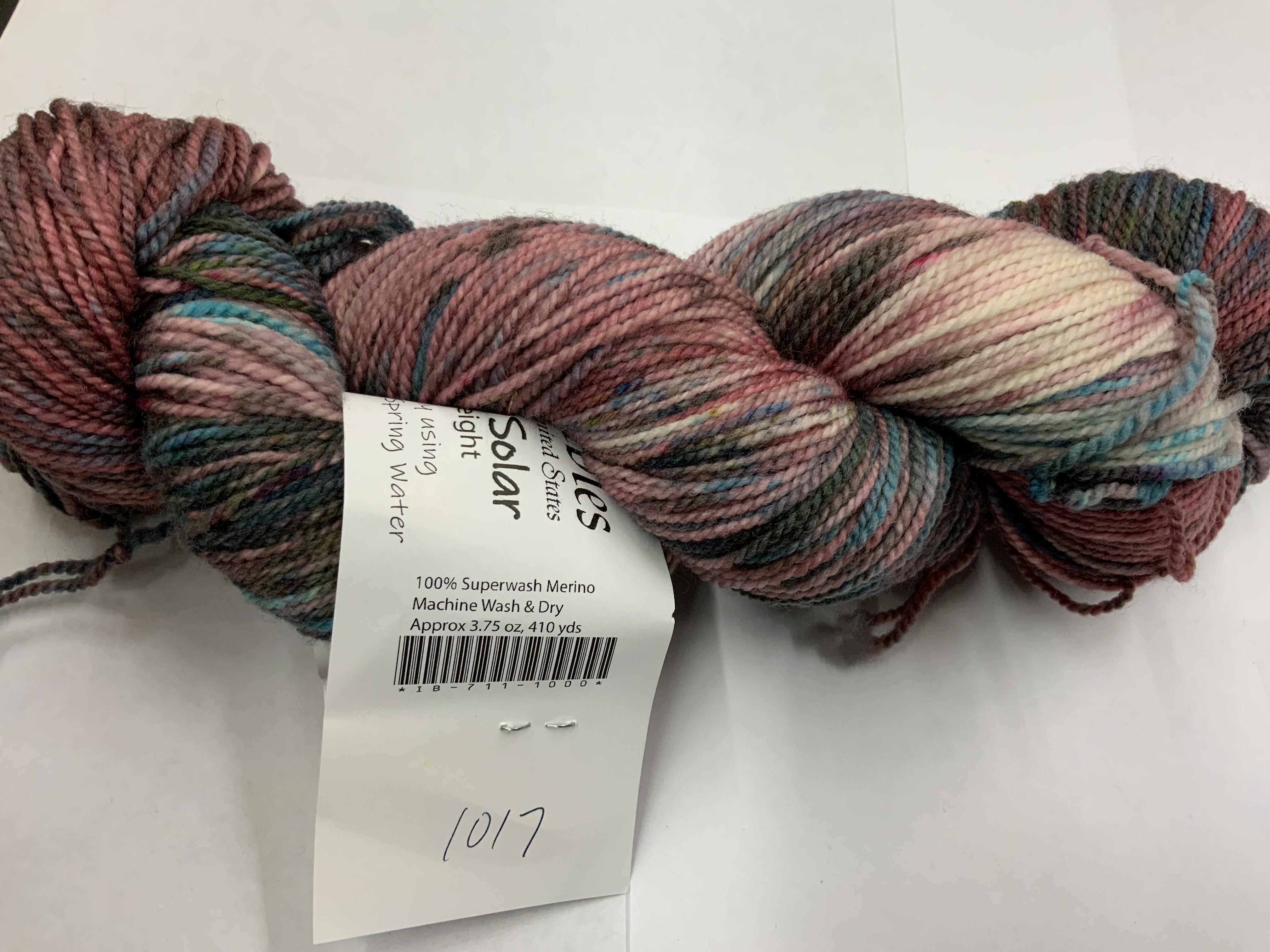 Ivy Brambles SockScene Solar Sock Yarn - 1017