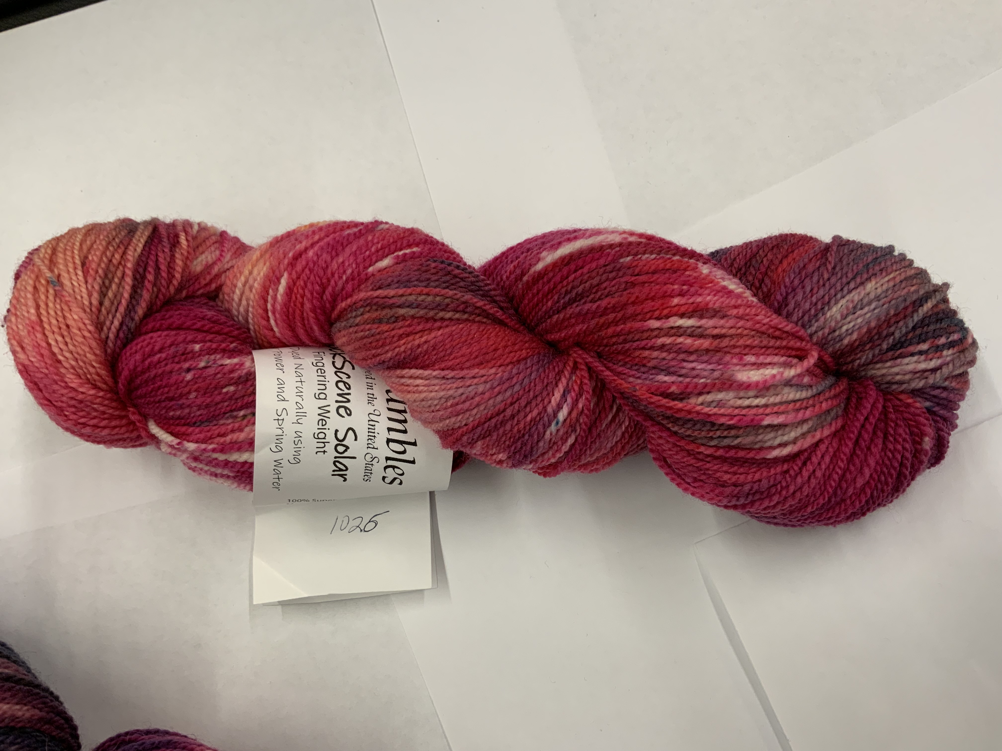 Ivy Brambles SockScene Solar Sock Yarn - 1026