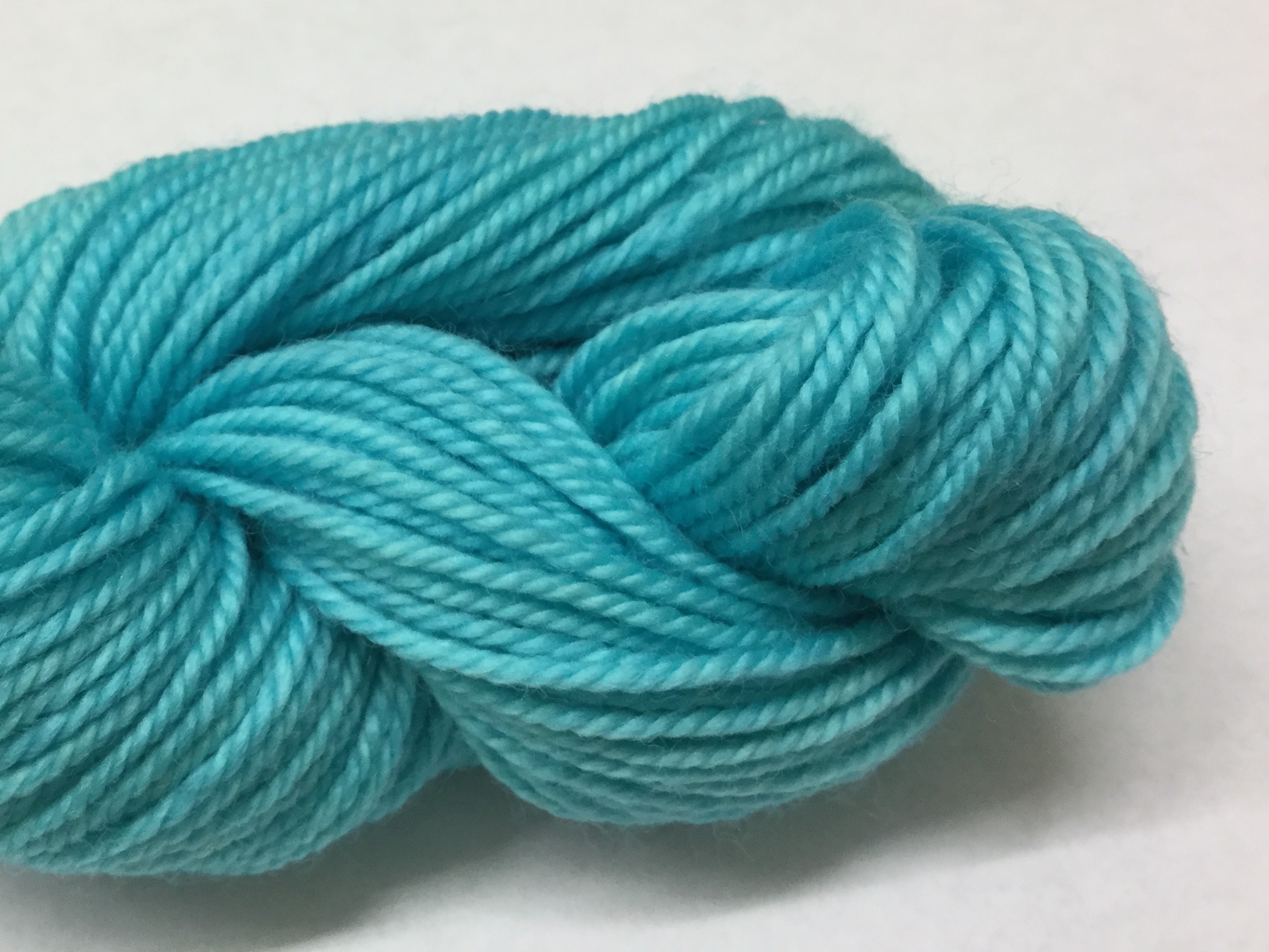 Ivy Brambles Superwash DK Yarn #146 Turquoise
