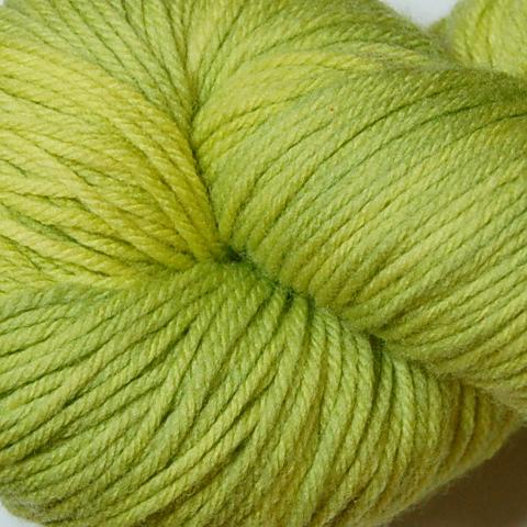 Ivy Brambles Superwash Worsted Yarn #102 Spring Meadow