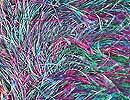 Lion Brand Fun Fur Yarn #208 Tropical