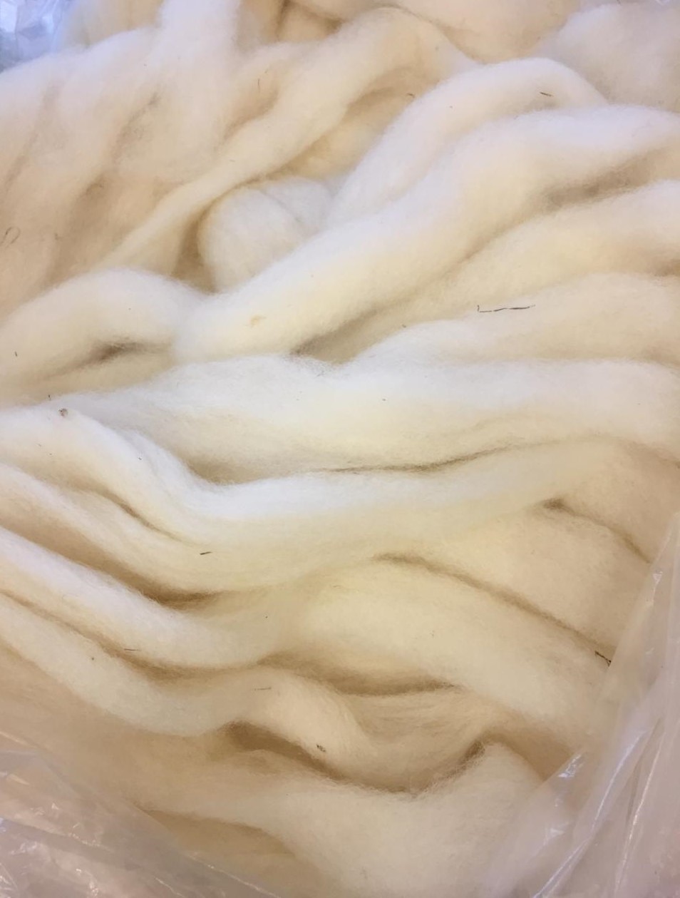 NE Farms Romney Wool Pin-Drafted Roving