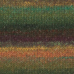Plymouth Boku Yarn 004