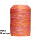 YLI 40/3 Variegated Machine Quilting Thread - 74V Paris Boutique